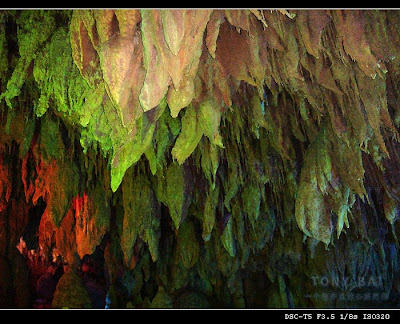 Image 26: http://farm1.static.flickr.com/98/370802902_9f81696c31.jpg?v=0
